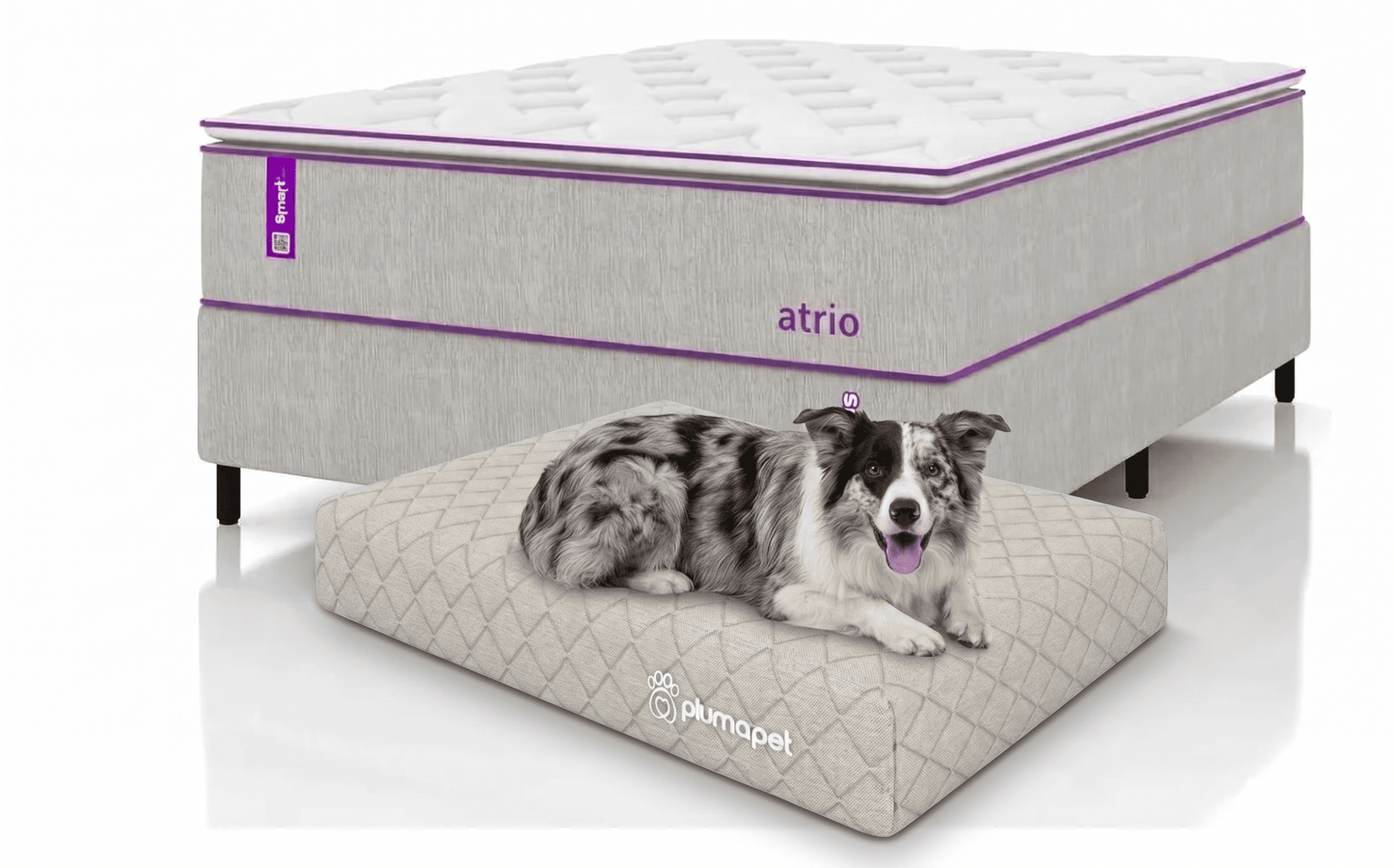 Cama box com Colçhão Casal D33 Atrio 138x188 + Cama Pet 80X60 Smartz