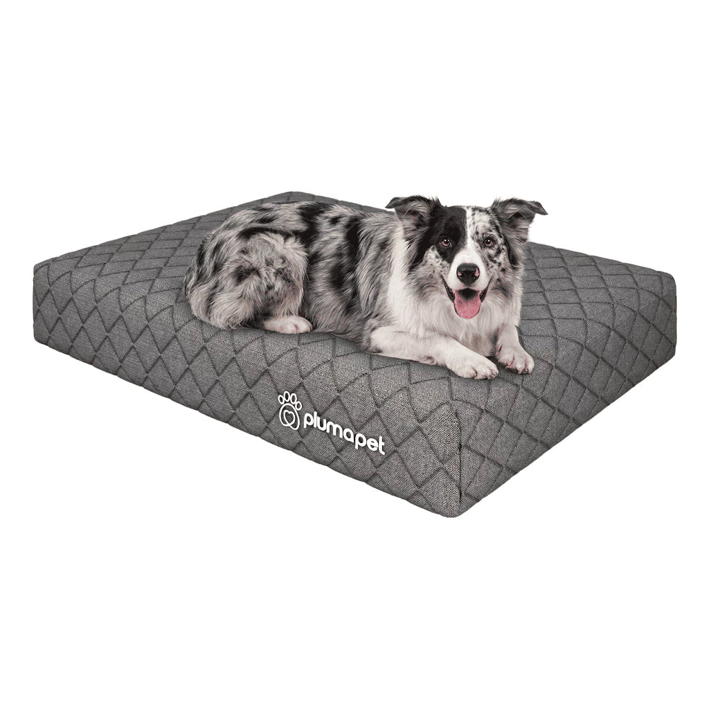 Caminha Resistente a Arranhões Para Pets 80x60 Plumatex
