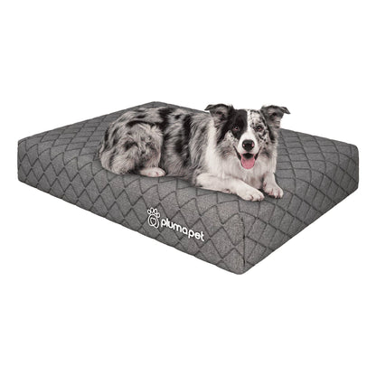 Caminha Resistente a Arranhões Para Pets 80x60 Plumatex
