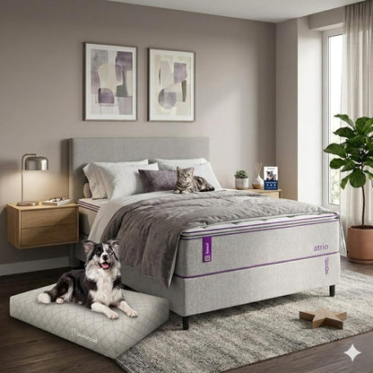 Cama box com Colçhão Casal D33 Atrio 138x188 + Cama Pet 80X60 Smartz