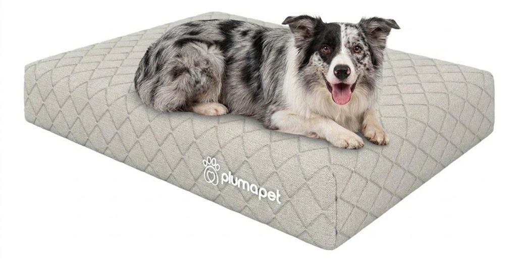 Cama box com Colçhão Casal D33 Atrio 138x188 + Cama Pet 80X60 Smartz