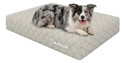 Cama box com Colçhão Casal D33 Atrio 138x188 + Cama Pet 80X60 Smartz