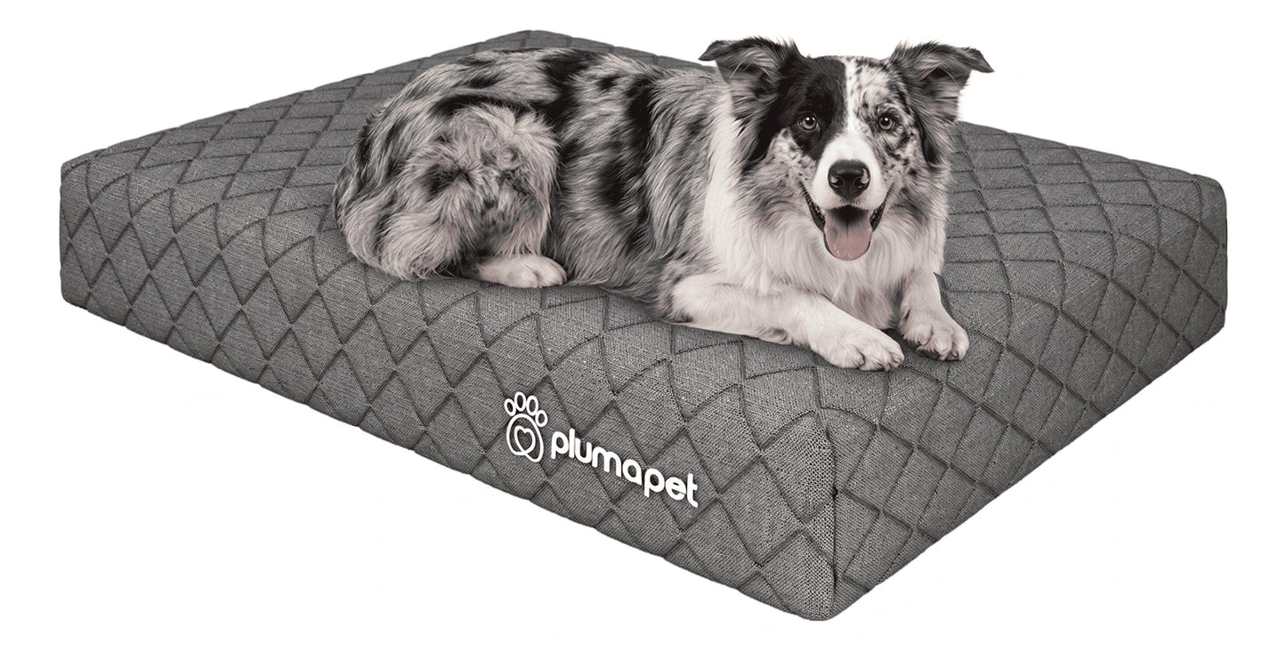 Cama box com Colçhão Casal D33 Ortovip 138x188 + Cama Pet 80X60 Smartz
