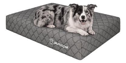Cama box com Colçhão Casal D33 Ortovip 138x188 + Cama Pet 80X60 Smartz